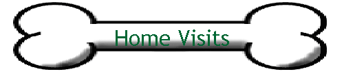 Home Visits